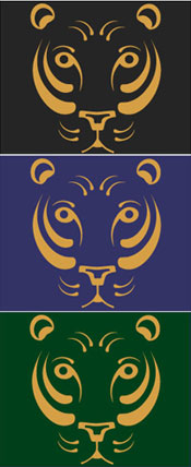 Celtic Tiger Boys Hoodies