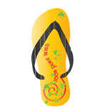  Click to view Irish Dancing Flip Flops!
