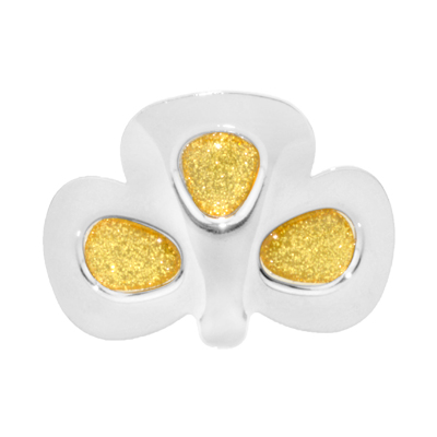 Sparkle Shamrock Buckles with a Gold Sparkly Center